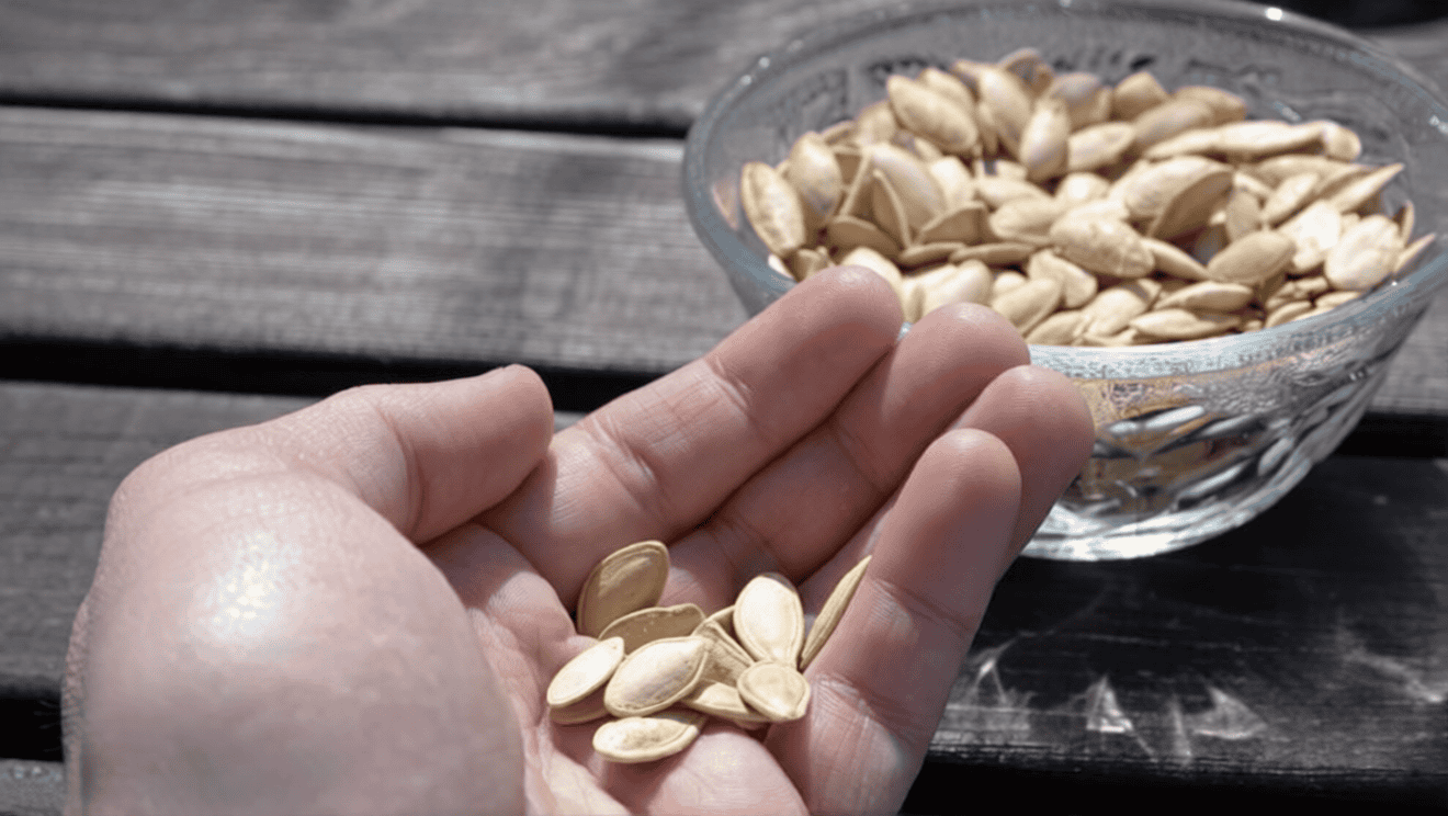 foods to eat after sex to regain your energy