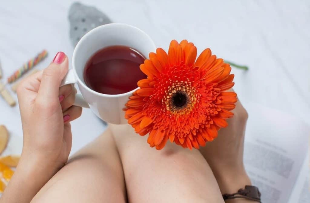 herbs that can increase a woman's libido and pleasure