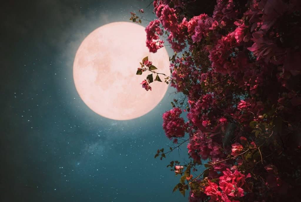 the Strawberry Moon