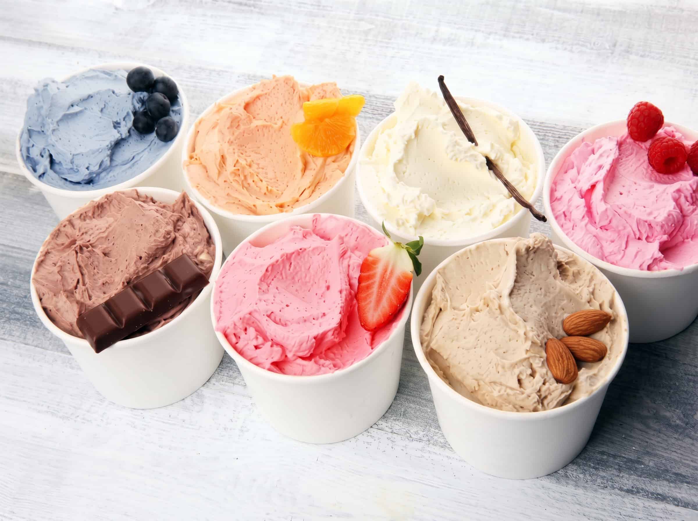 Ninja Creami protein ice cream recipes