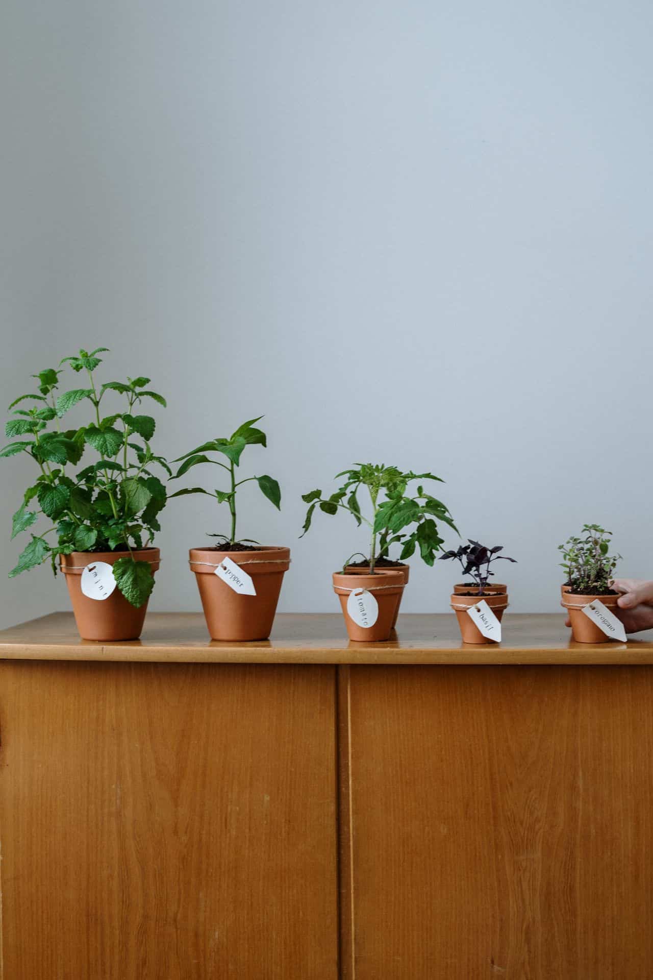 how to make your apartment smell good